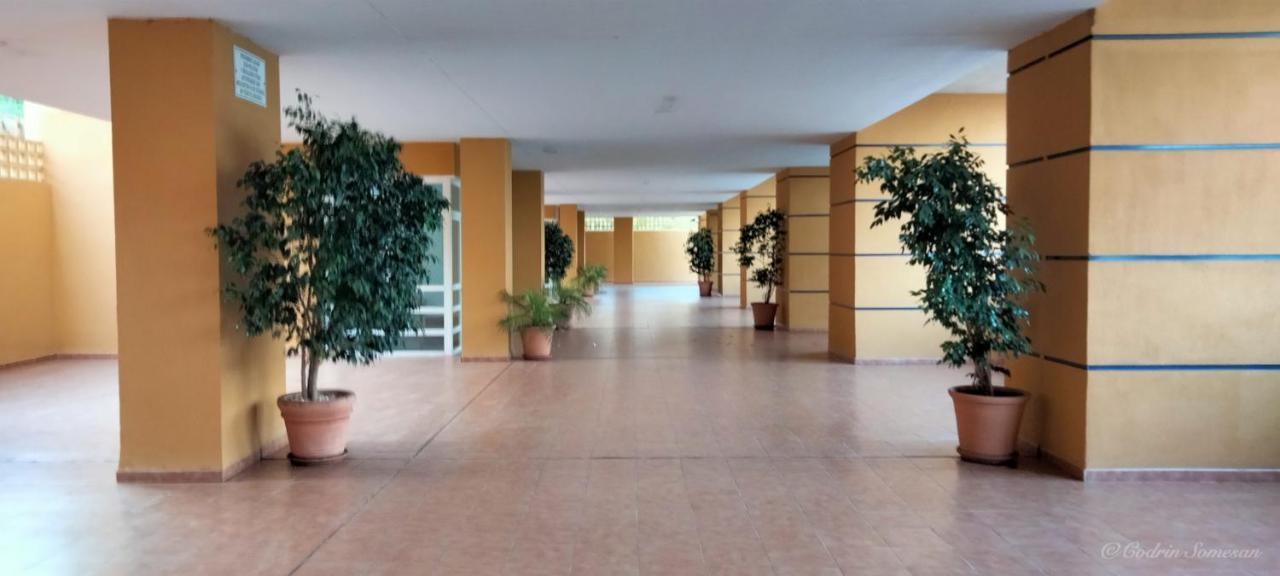 Cozy Apartment Overlooking Estepona'S Marina! エクステリア 写真